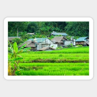 Vietnam - Ha Giang, Village de Tha, Lup, Me Sticker